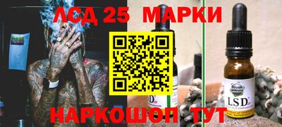 apvp Гатчина