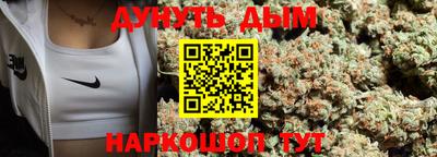 apvp Гатчина