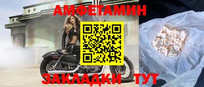 apvp Гатчина