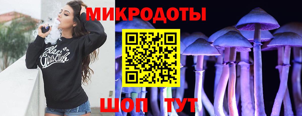 Назарово  Псилоцибиновые грибы Psilocybe  Вход с VPN 